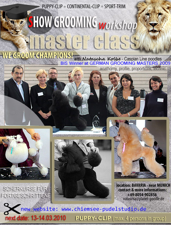Planet Poodle Workshop